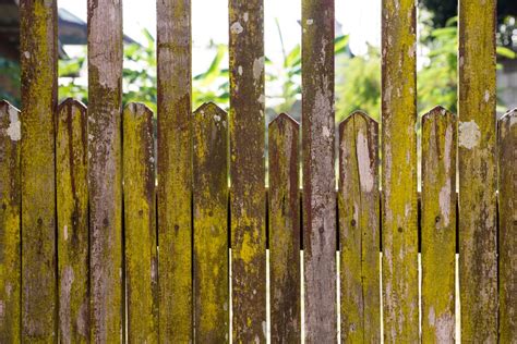 Message from pastor john harris. Fence Maintenance Tips for Moisture and Mold | FenceWorks