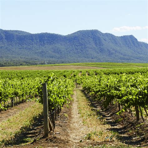 Check spelling or type a new query. Hunter Valley Wine Tour | Sydney Private Tours