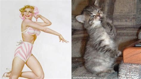 26 Cats That Look Like Pin Up Girls Smooth