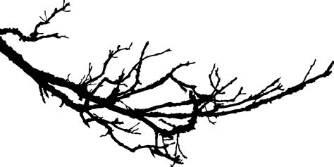 Tree Branch Silhouette Clip Art At Getdrawings Free Download