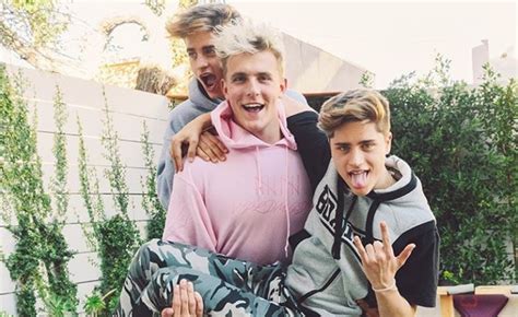 Logan Paul And Jake Paul Twins The Dolan Twins Just Called Out Jake