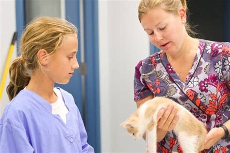 Veterinary school for kids offered by Kitchener-Waterloo Humane Society | CBC News