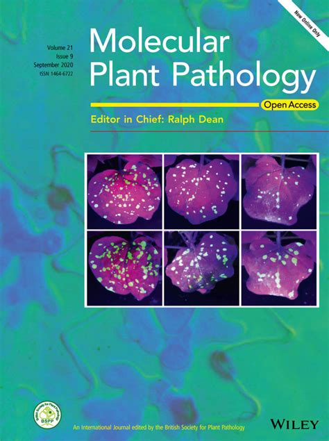Issue Information 2020 Molecular Plant Pathology Wiley Online Library