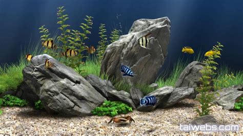 Dream Aquarium Screensaver 1293 Screensavers Fish Tank