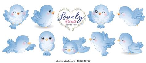 Cute Doodle Birds Poses Collection Stock Vector Royalty Free