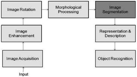 Fundamental Steps In Digital Image Processing Download Scientific Diagram