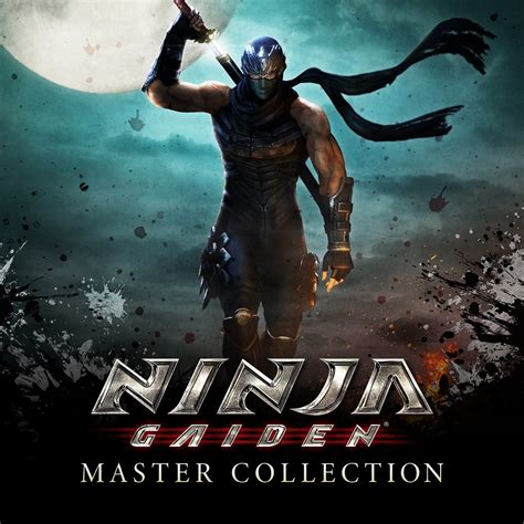 Saviors of sapphire wings stranger of sword city revisited v1.0.9. Ninja Gaiden Master Collection Multi6-Elamigos / NINJA ...