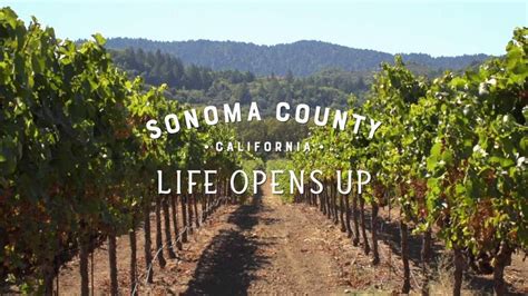 Sonoma County Tourism Renews Pact That Allows Visitors To Give Back To