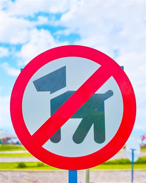 Schild eintritt für hunde verboten. Hunde Verboten Schild Ausdrucken : Schilder Fur Haus Und Hof Comic Schilder : Das blaue schild ...