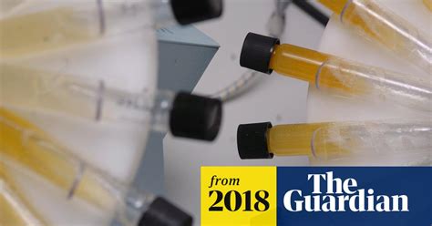 wada recommends reinstatement of russian anti doping agency russia doping scandal the guardian