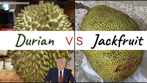 Durian Vs Jackfruit Hows Look Inside Youtube