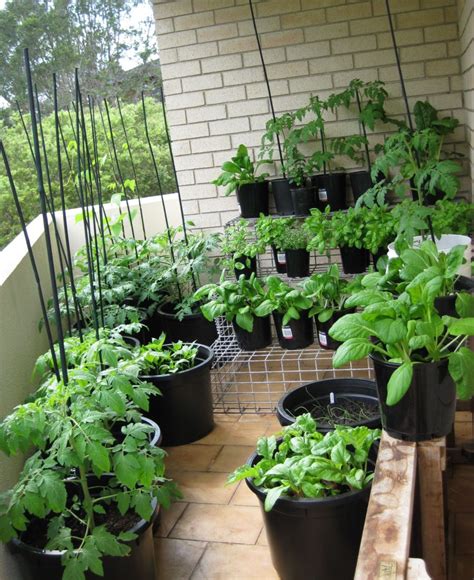 20 Beautiful Apartment Balcony Vegetable Garden Ideas Balcony