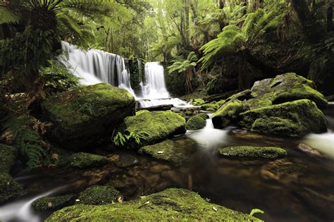 Waterfall In Rainforest 4k Ultra Hd Wallpaper Background Image