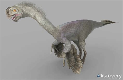 Gigantoraptor Dinosaur Revolution