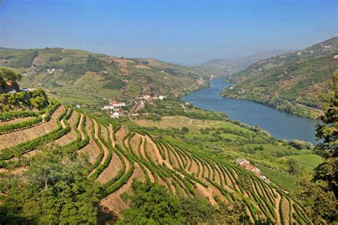 Explore Port Wine In Portugals Douro Valley International Travel News
