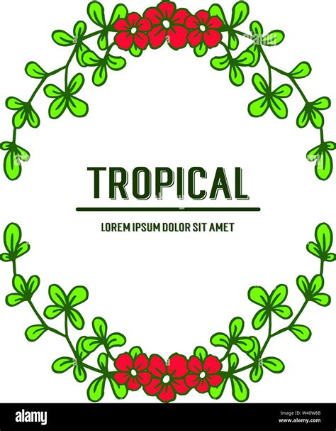 Tropical Of Green Leaves Frames Isolated On White Background Vector