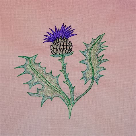 Thistle Head Flower Embroidery Design 3 sizes - Designs22U