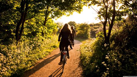 Wallpaper Sports Sunlight Trees Forest Bicycle Vehicle Women With Bikes Tracks Cycling