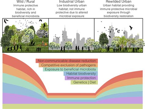 Microbiome Rewilding Via The Restoration Of Biodiversity To Urban