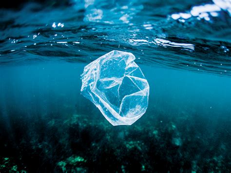 Effects Of Plastic Pollution On Oceans