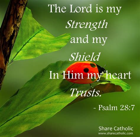 The Lord Is My Strength And My Shield In Him My Heart Trusts Psalm 28