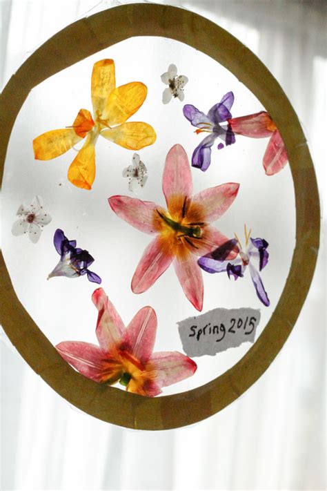 The pressed flower guild yahoo messenger group keeps some members in touch by email. Dried Pressed Flowers Suncatcher Craft - In The Playroom