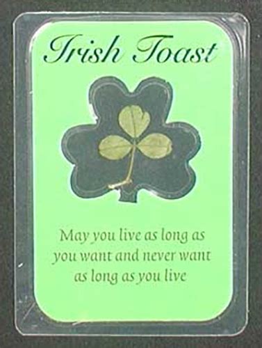 Real Shamrock Irish Blessing Card Toast