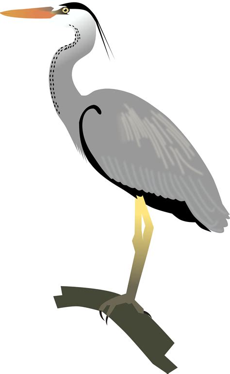 Egret Great Blue Heron Crane Bird Crane Png Download 20003250