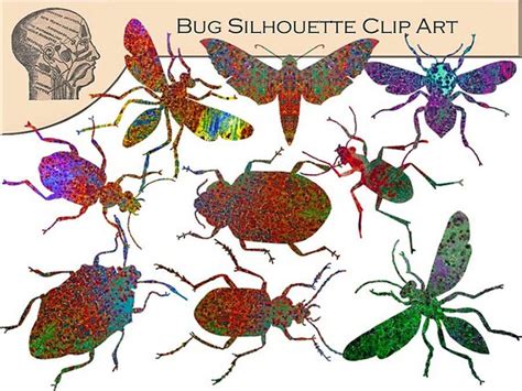 Science Bugs Insects Silhouette Clip Art Beetles Moths Clipart