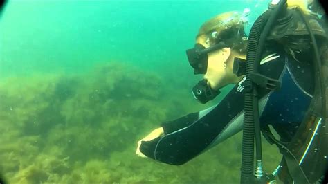Black Sea Underwater Youtube