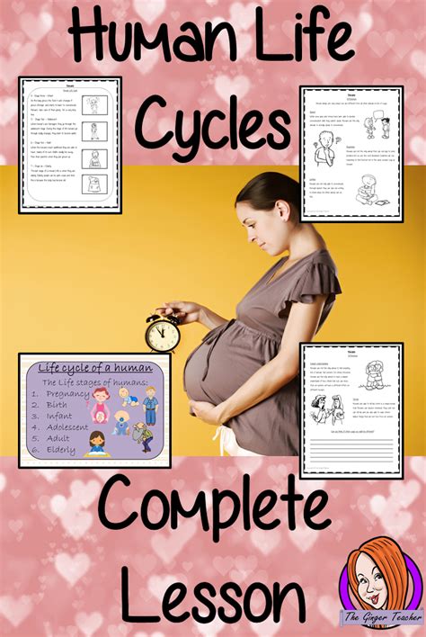 The Human Life Cycles Complete Lesson