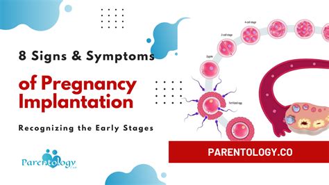 8 Early Signs And Pregnancy Implantation Symptoms