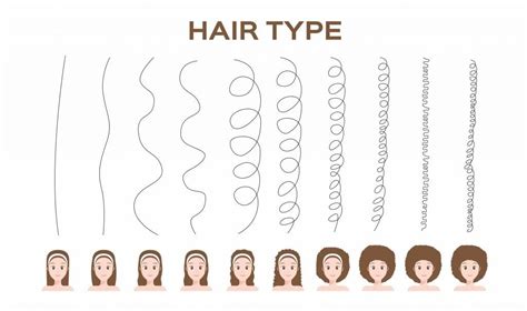 Care For Different Types Of Hair Westport Hair And Co