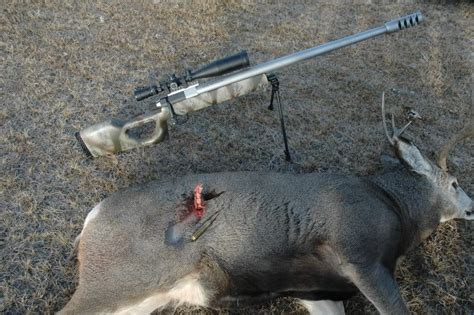 50 caliber gunshot wound : Deer Hunter 50 BMG | RIFLES LONG RANGE SNIPER RIFLE | Pinterest
