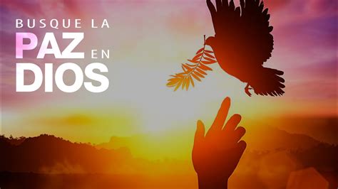 Busque La Paz En Dios Domingo 07 De Junio 2020 Youtube