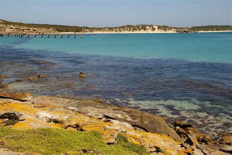Vivonne bay is located on the south coast of kangaroo island, south australia, 61 km. Vivonne Bay, Kangaroo Island, South Australia