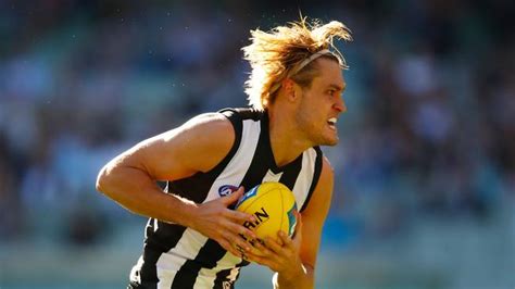 Darcy will go back, buckley said. Darcy Moore hamstring injury, Kayle Kirby discharged from ...
