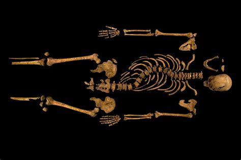 Exhibiting Human Skeletal Remains Medieval Histories