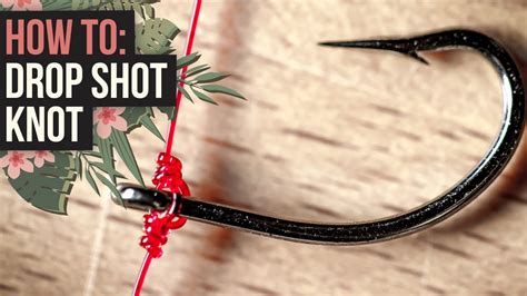 The Best Drop Shot Knot How To Dropshot Youtube