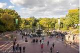 Images of Who Designed New York S Central Park