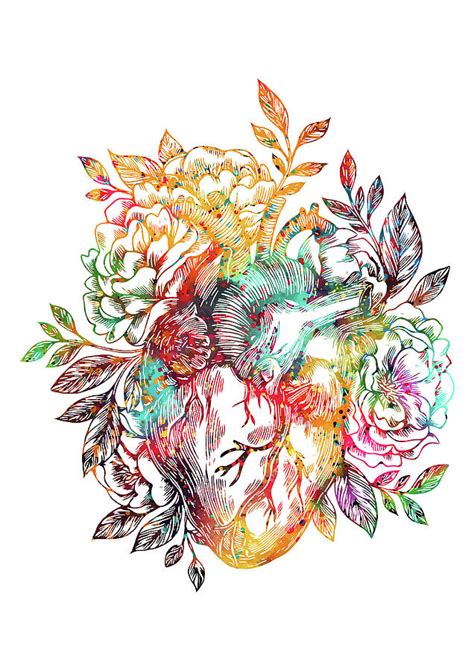 Drawings hearts easy heart with flowers drawing tumblr pencil. Anatomical heart with flowers Digital Art by Erzebet S