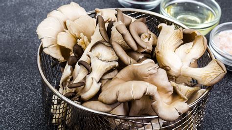 Signs That Your Oyster Mushrooms Have Gone Bad