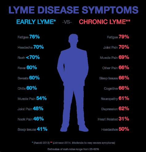 From Tick Bite To Treatment Lyme Disease Igenex