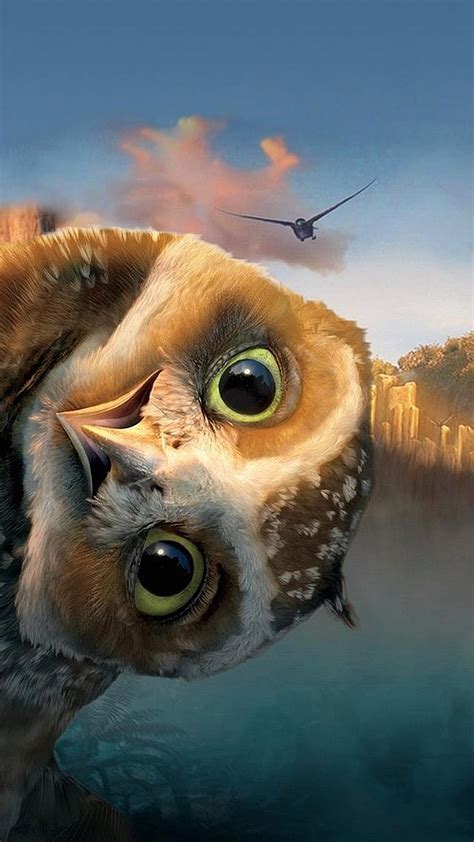 Funny Owl Best Htc One Wallpapers Free And Easy To Download