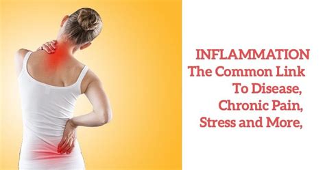 The Impact On Inflammation Doctor Bob Posner