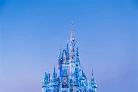 Disney World Castle Zoom Background