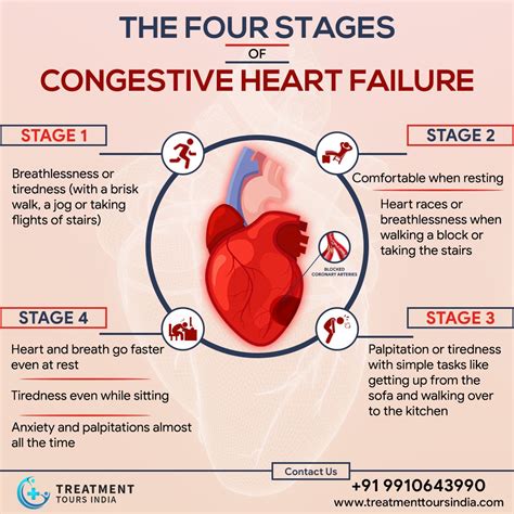 Congestive Heart Failure Doesnt Happen In A Day It Takes Many Months