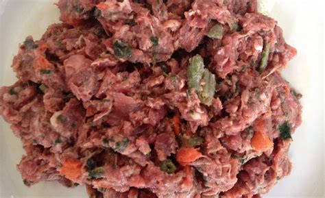 Redford dog food near me. Raw Dog Food Suppliers Near Me: Shifting to The Original Diet