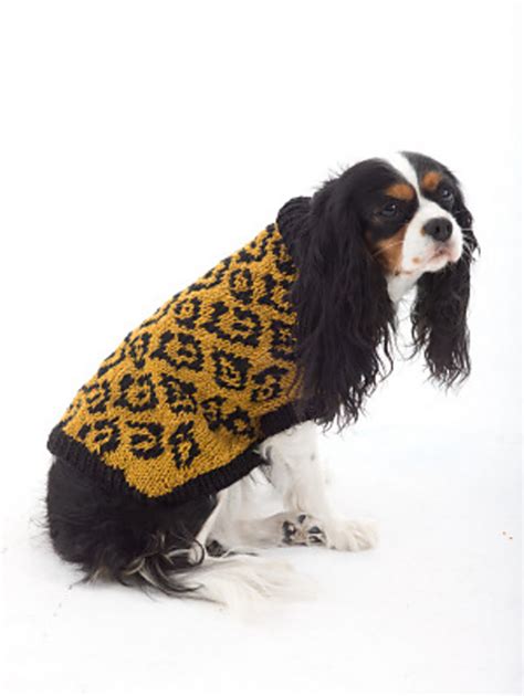 Ravelry The Animal Lover Dog Sweater Pattern By Lion Brand Yarn