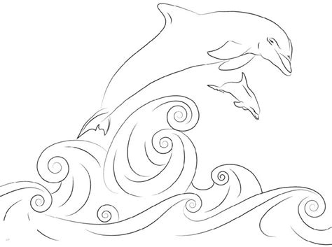 Cute And Fun Dolphin Coloring Pages 101 Coloring Dolphin Coloring